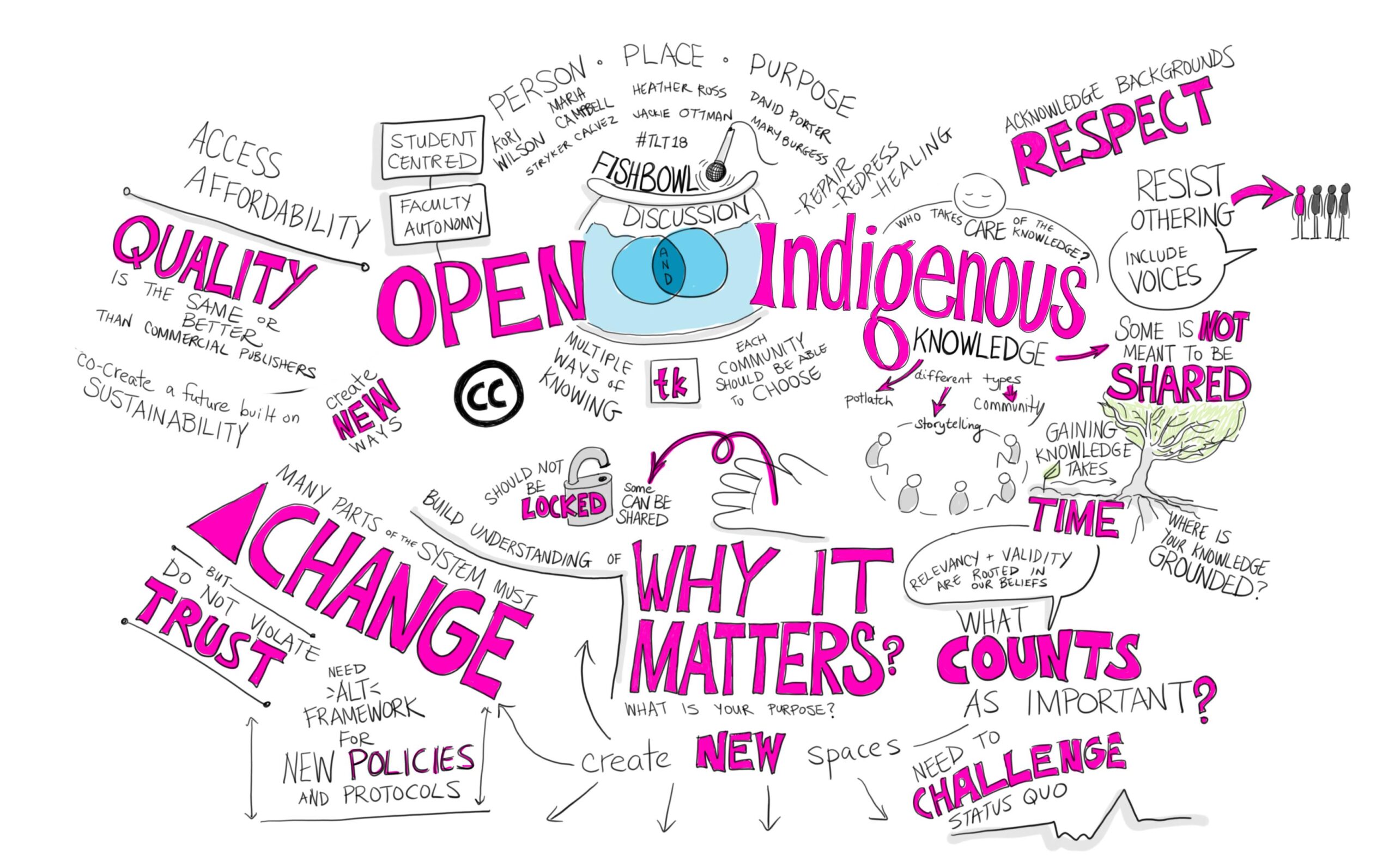 a visual notes image depicting relationships between openness and Indigenous Knowledges (by Giulia Forsythe)